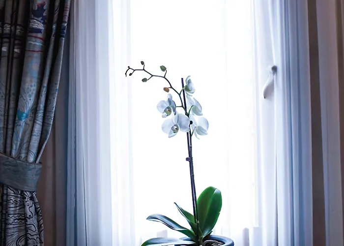 Szálloda Anatelein Cave